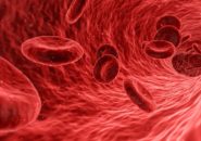 血液幹細胞のイメージ画像