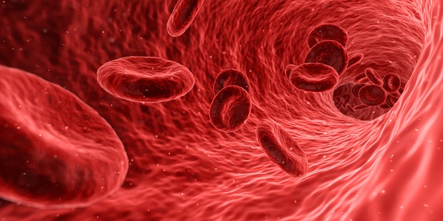 血液幹細胞のイメージ画像